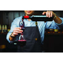 Laguiole Wine Aerator with 4 Accessories