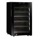 Cellar Fridge 22 Bottles FG Single Temperature